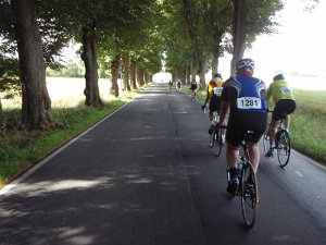RTF Alpe d'Seevetal  141